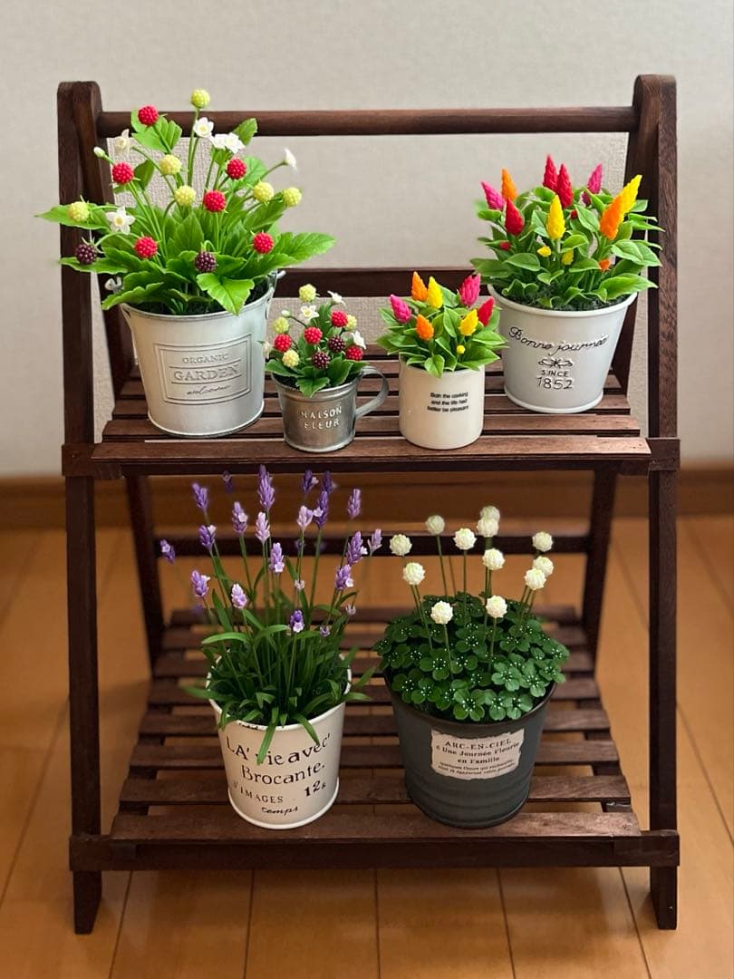 専用　ラズベリー鉢植え　ケイトウ　ラベンダー　クローバー　クレイフラワー