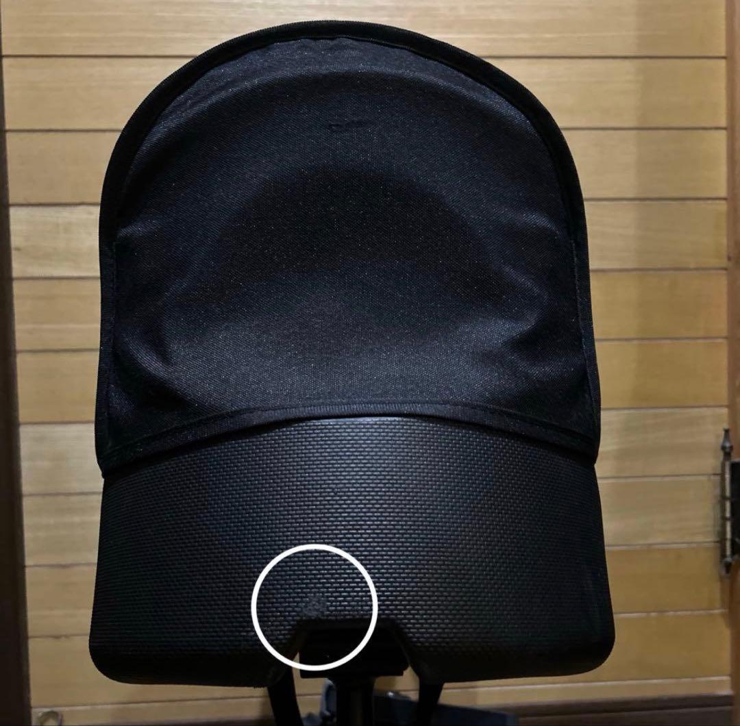 Air Buggy エアーバギー 2人乗り ステップボード 2wayボード