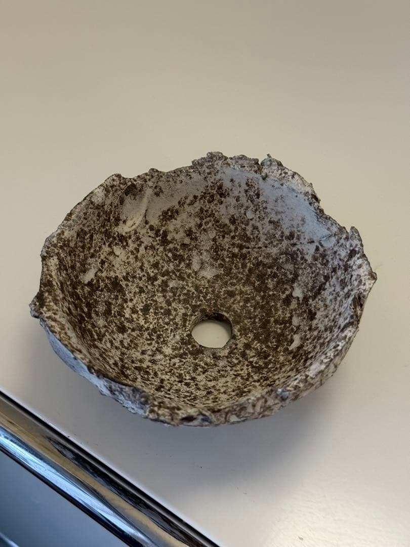 たけろうポット　ちぎり2 白　植木鉢　安西岳郎 塊根　カタチ　goujin