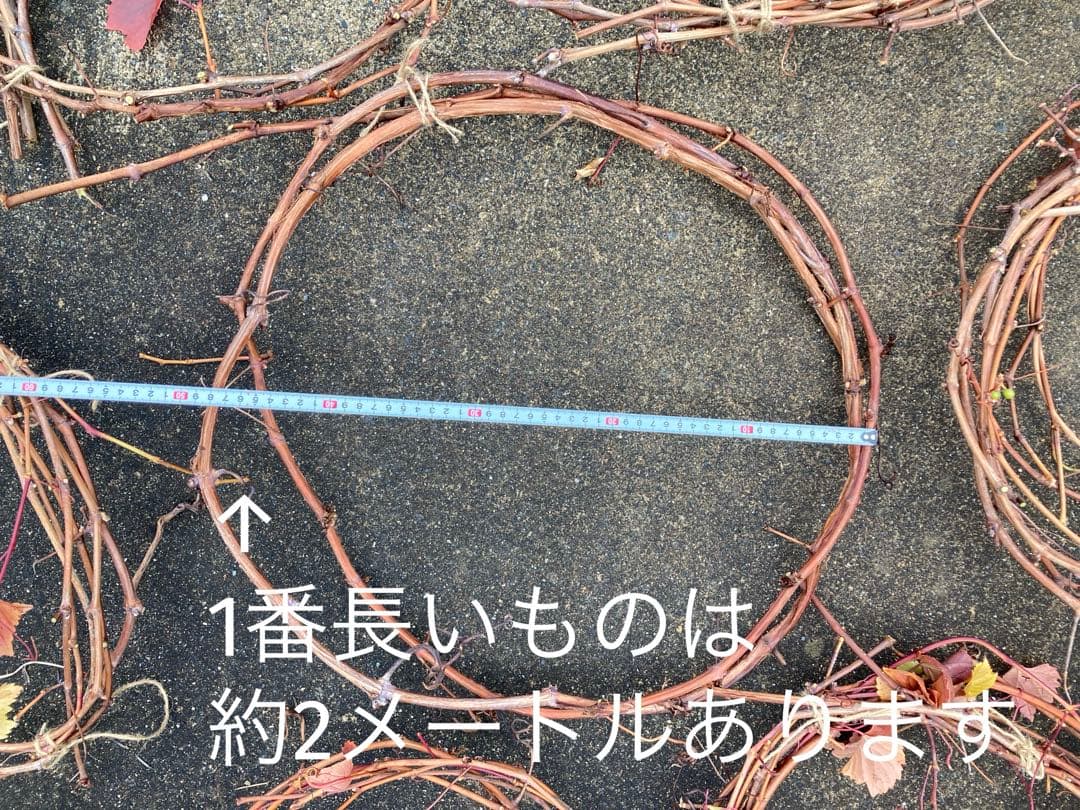 ヤマブドウの蔓　1.4kg 40〜200cm