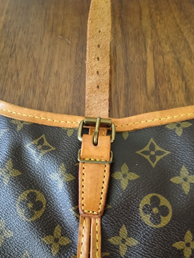 Louis Vuitton モノグラム　ガーメントバッグ
