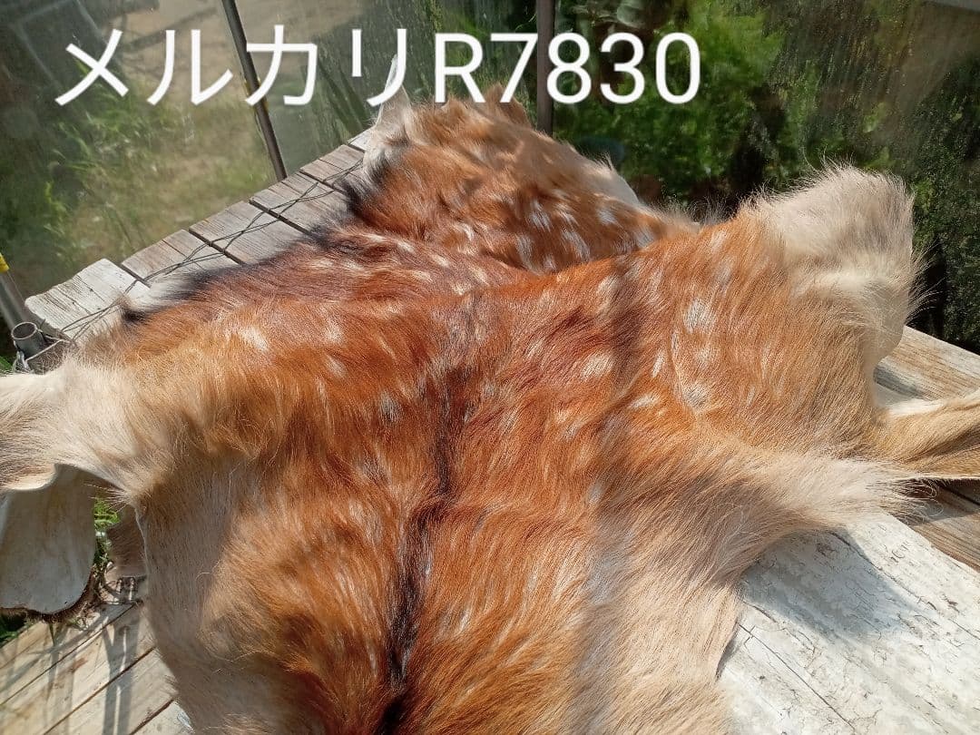 特上　天然日本鹿　夏毛　ラグ