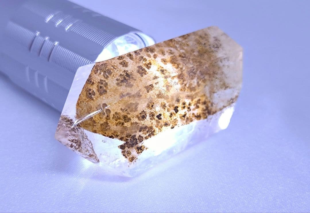 デンドリティック　ゴールデンヒーラー　ポイント　虹　豹柄　リバーシブル