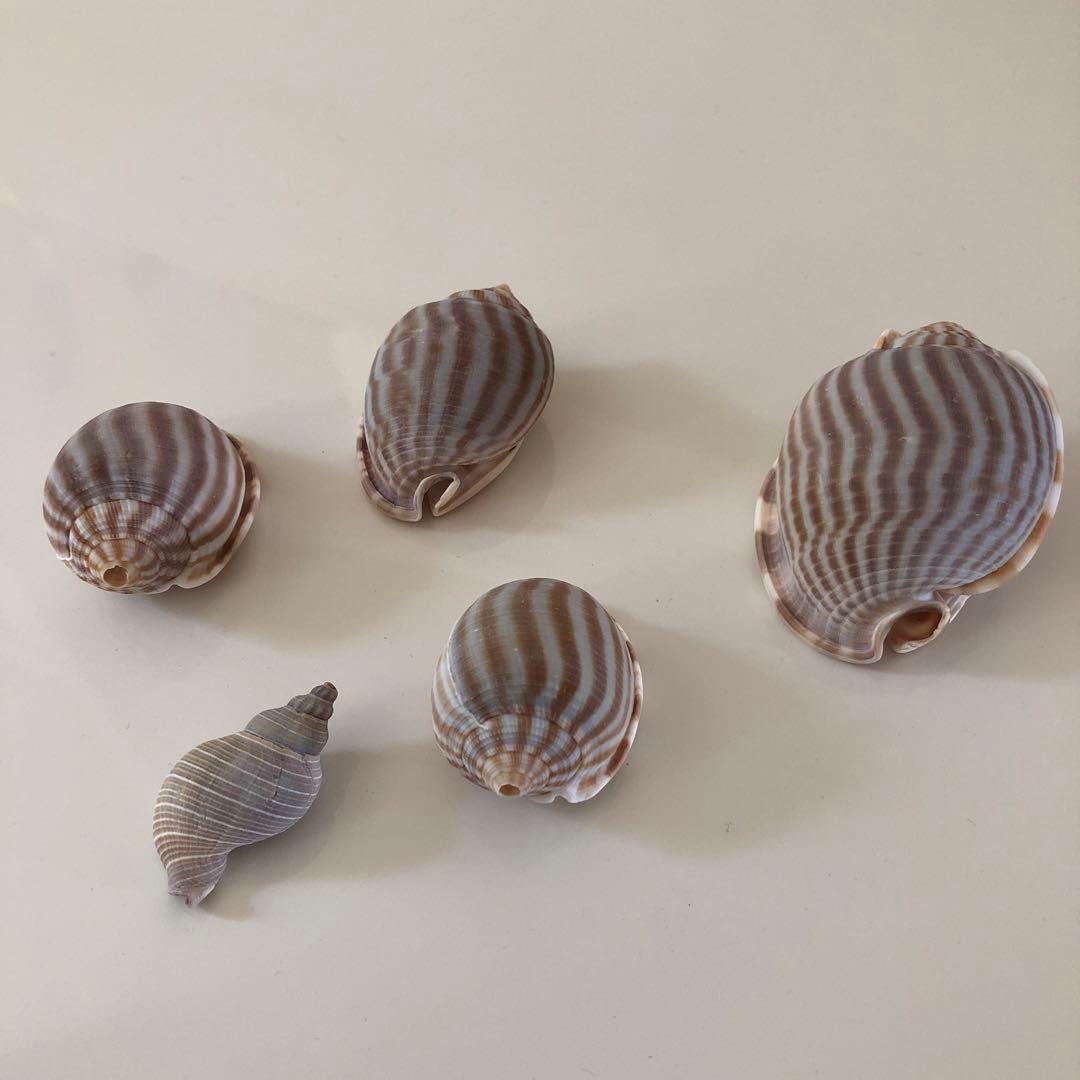 Okinawa セット11個