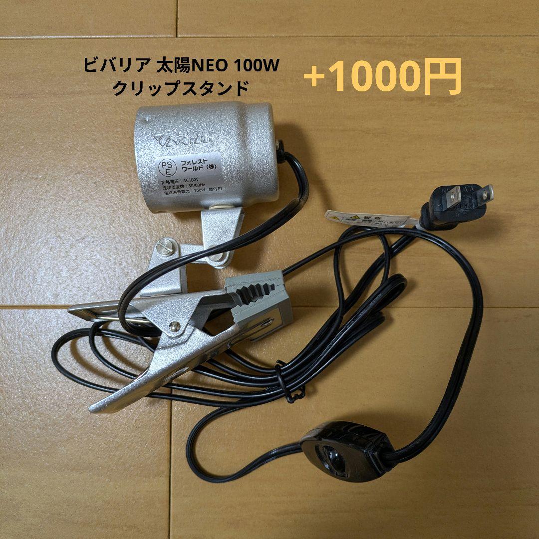 パンテオン　ホワイト　ＷＨ６０３５