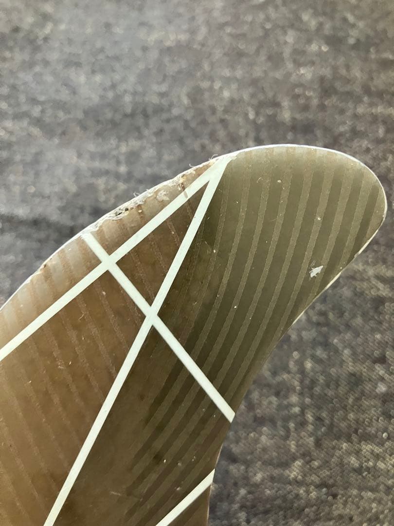 FCS II トライフィン コロヘアンディーノシグネチャーフィン　L