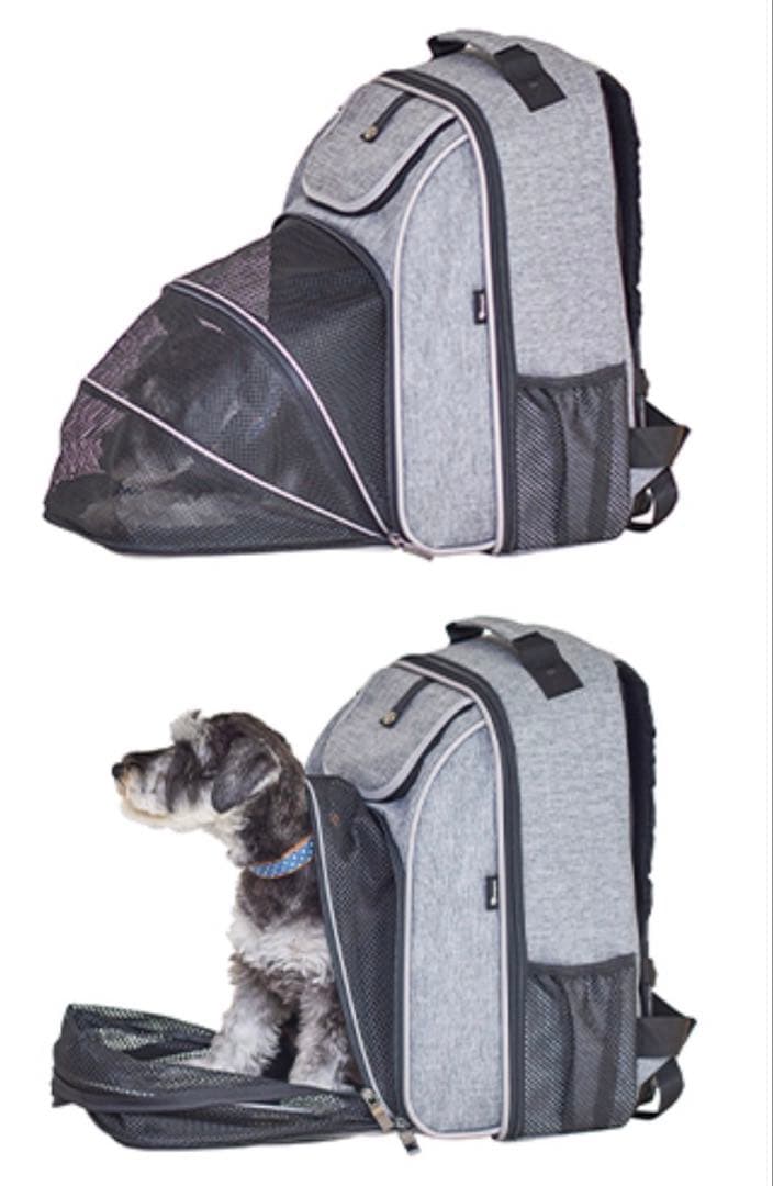 コムペット　バックパック　パエナ キャリーバッグ　compet paena