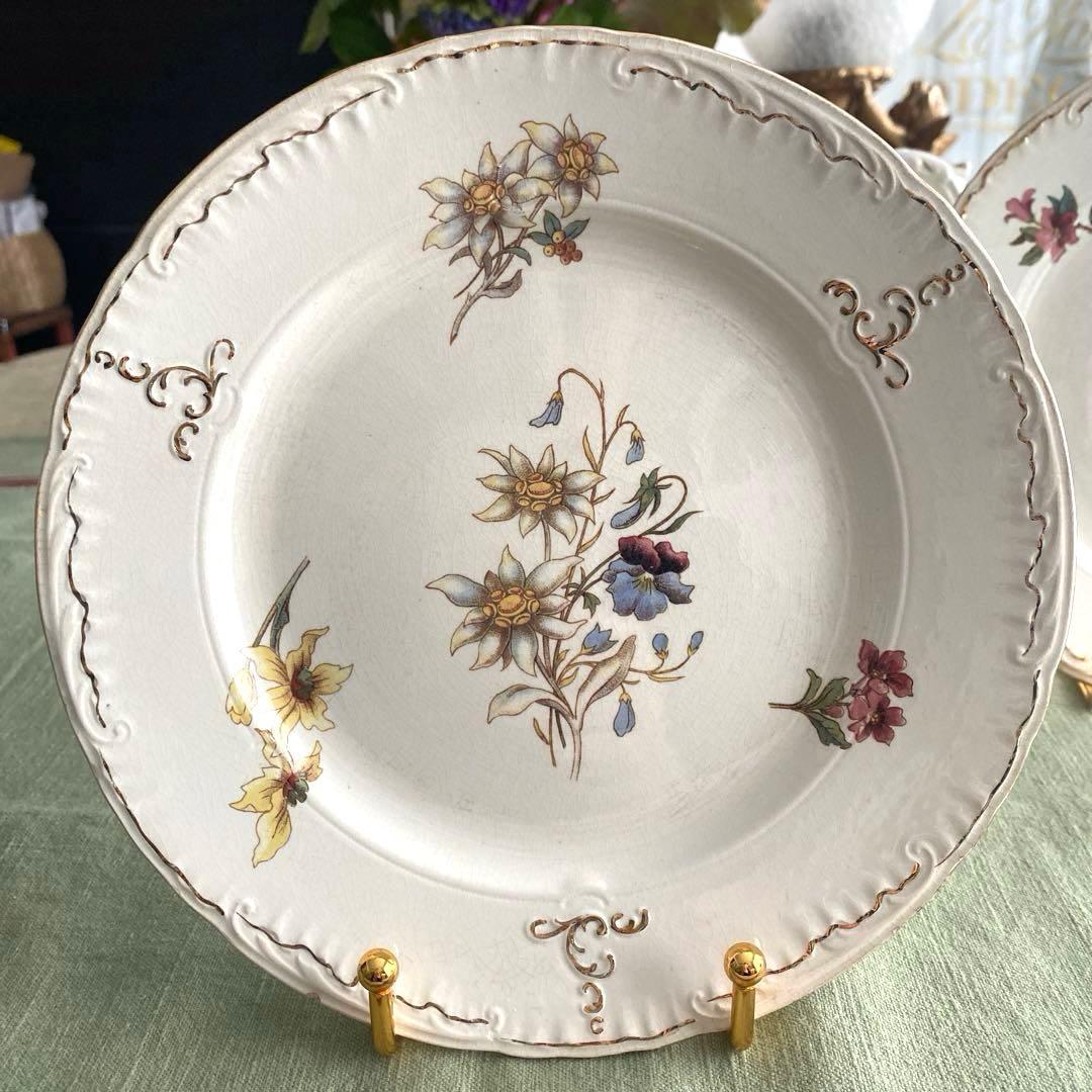 サルグミンヌRIGHI sarreguemines RIGHI セット