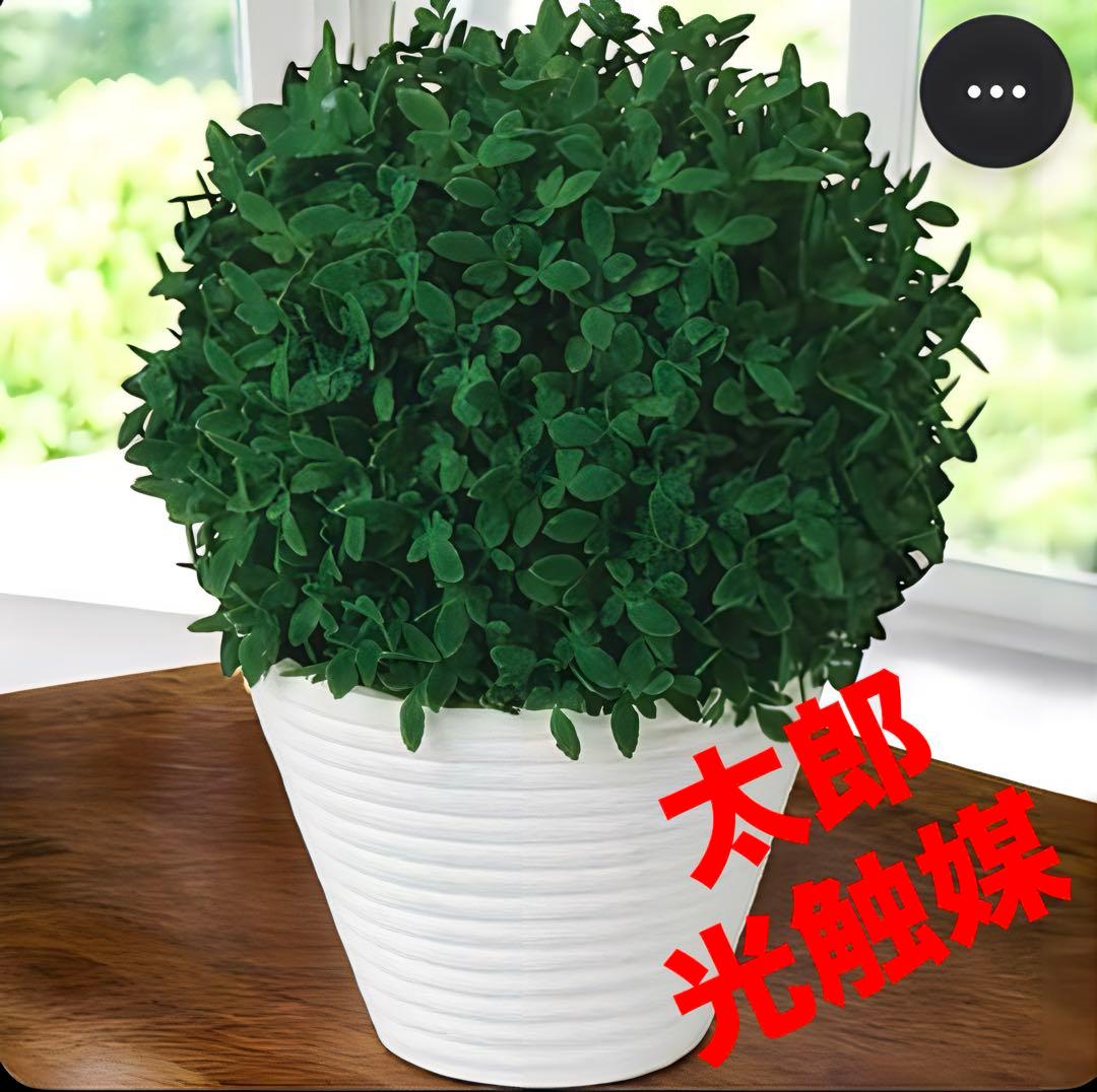 光触媒　人工観葉植物　ウォールグリーン　フェイクグリーン　森ボールポット