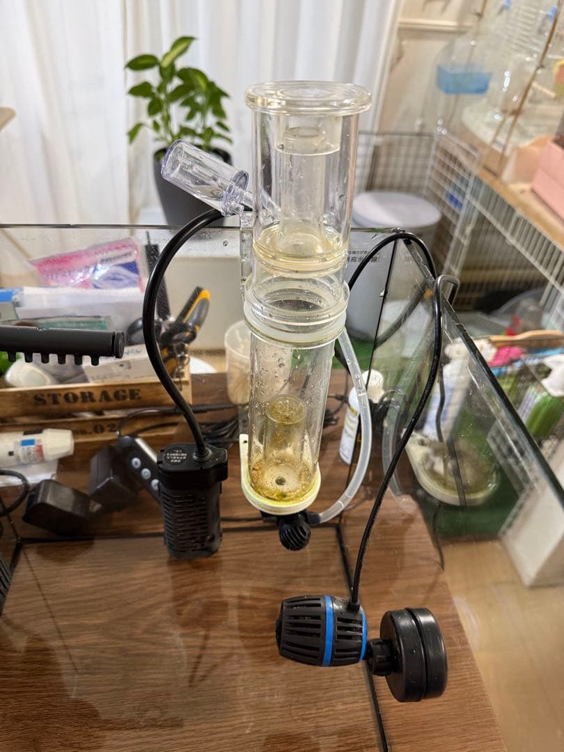 コトブキ30センチキューブ水槽&スターターセット