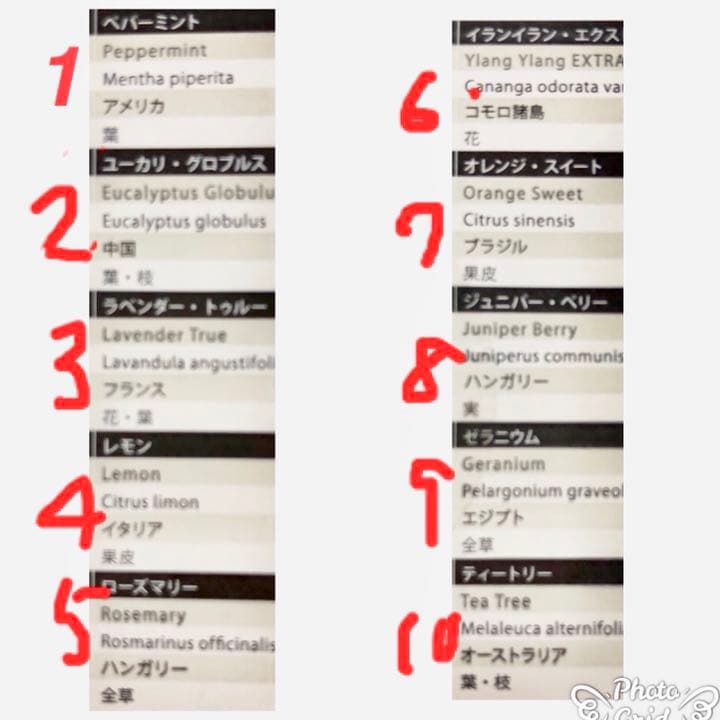 選べるアロマオイル！アロマストーン プードルちゃんサシェ 31