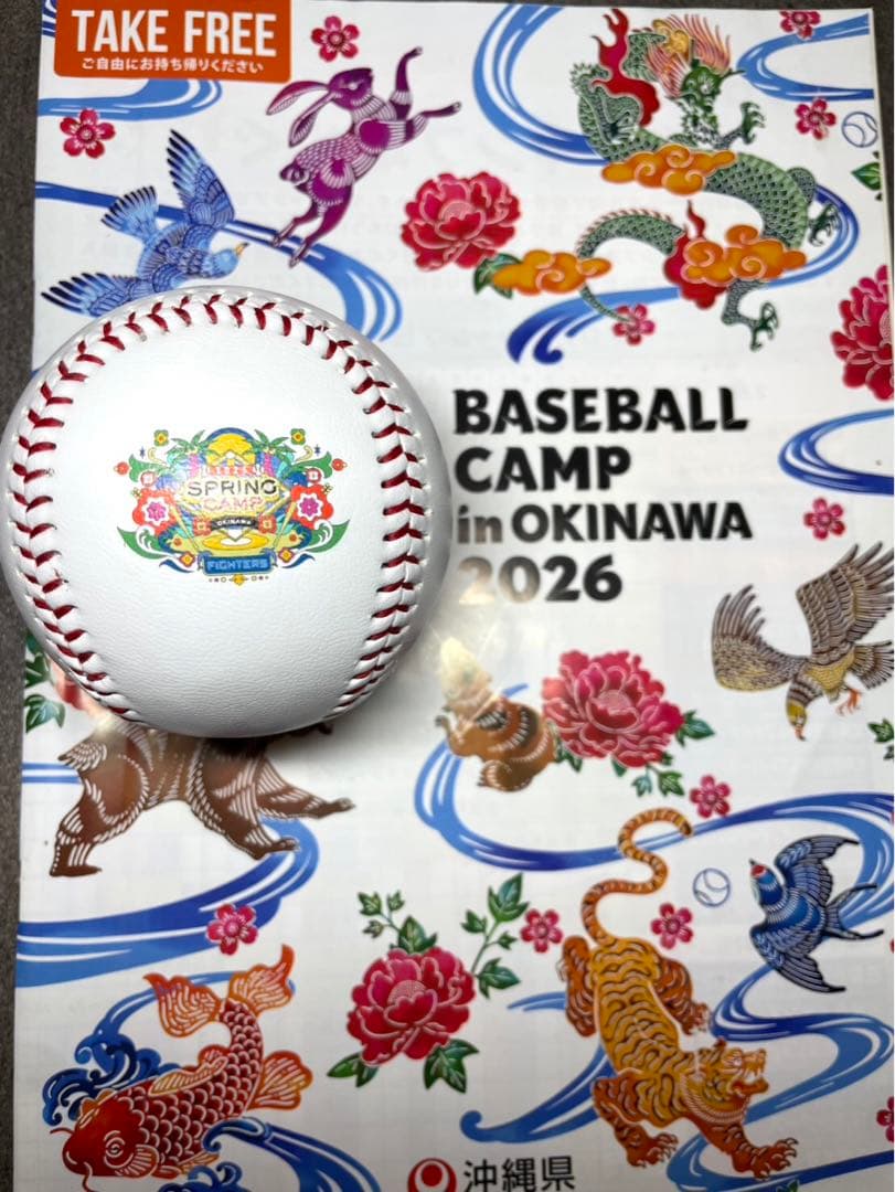 日本ハムファイターズ 伊藤大海 直筆サインボール 2026 沖縄キャンプ限定球