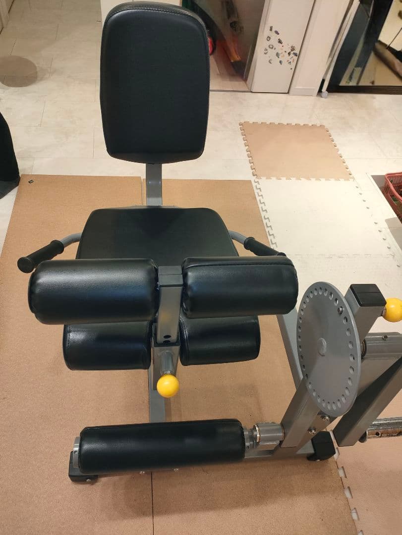 【美品】レッグエクステンション / カール (Φ50)[WILD FIT ]