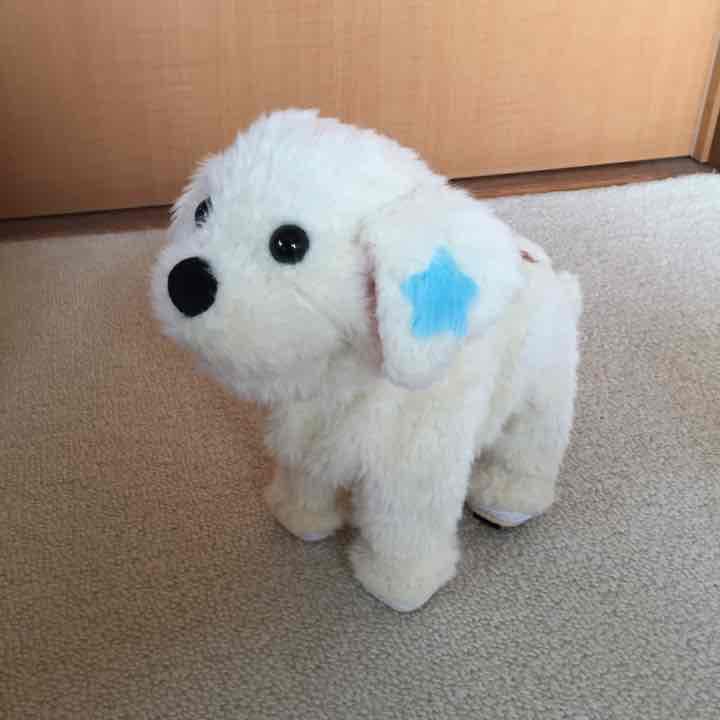 すー おもちゃ さかだちラッキー