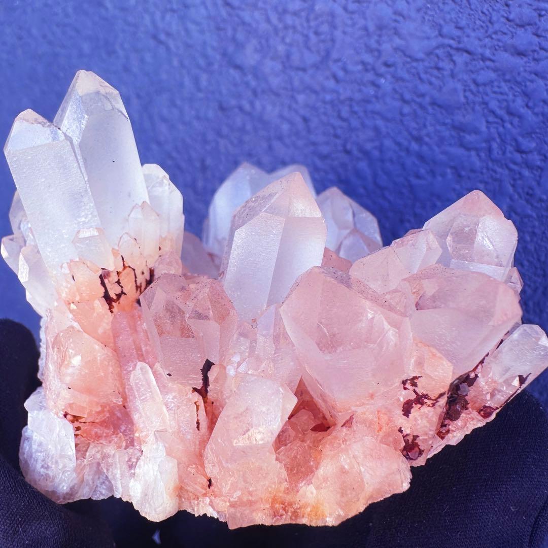 爆アレ❗️可愛いピンク♡超綺麗マダガスカル産パイナップルピンククラスターA1474