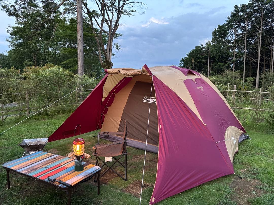 Coleman Tough Dome / 3025 キャンプテント