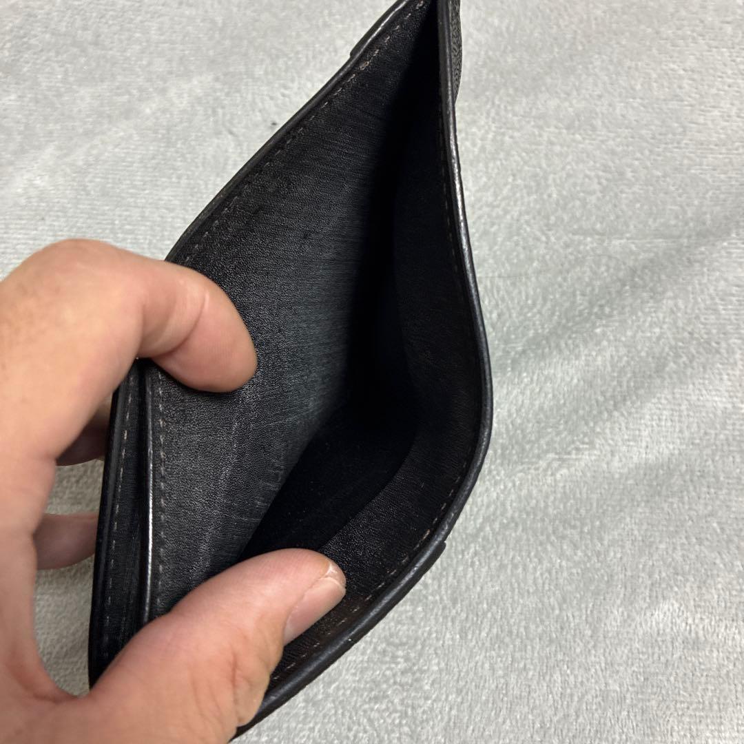 ワイルドスワンズ　パーム　エレファント