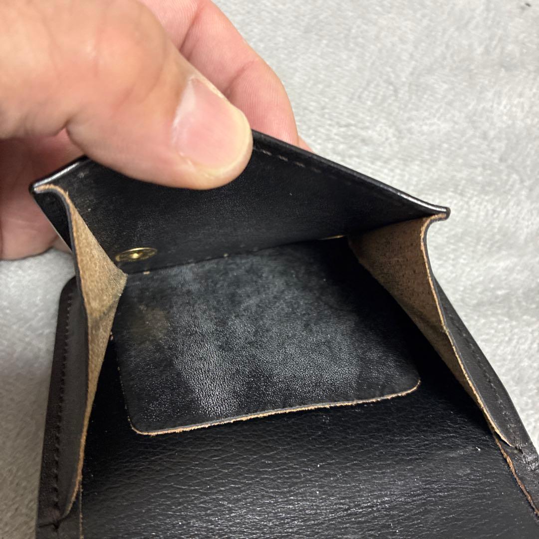 ワイルドスワンズ　パーム　エレファント