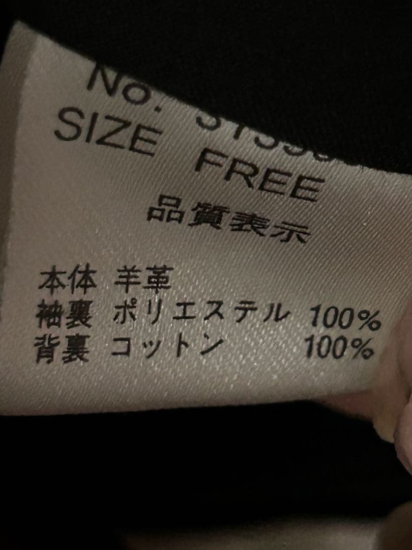 希少✨goa ゴア⭐️レザージャケット ⭐️ リアルファー　レア商品 3way