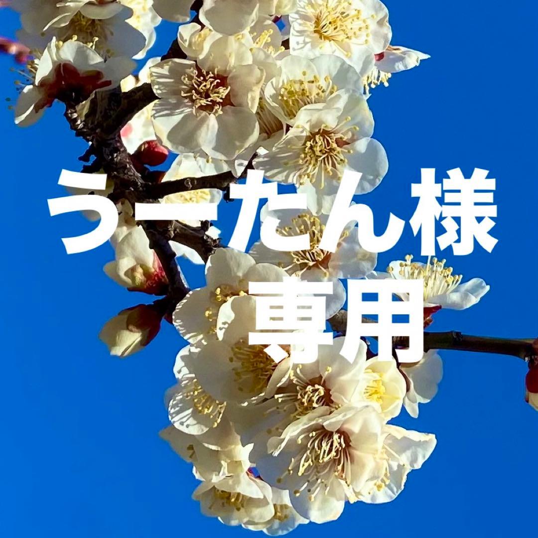 【今日明日のみうーたん】天然石 ラリマー 12-18mm ブレスレット