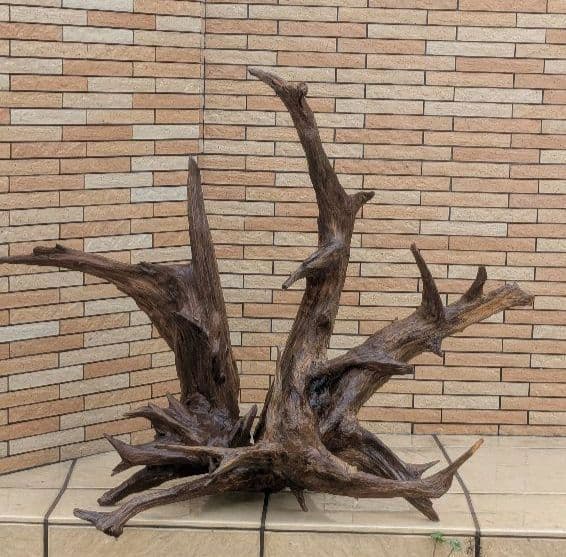 流木(630)　大型流木2点セット　アクアリウム　テラリウム