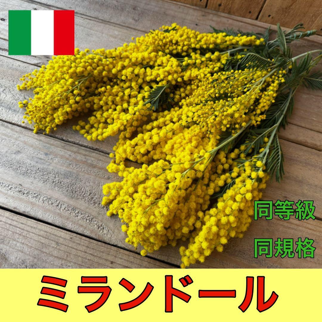 cutemio様 リクエスト 7点 まとめ商品