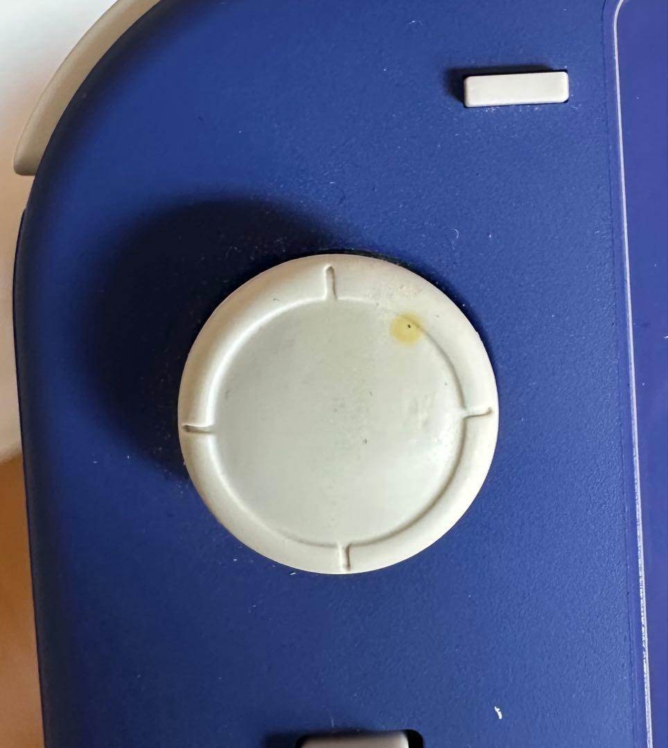 Switchライト ブルー マイクロSD ケース付き