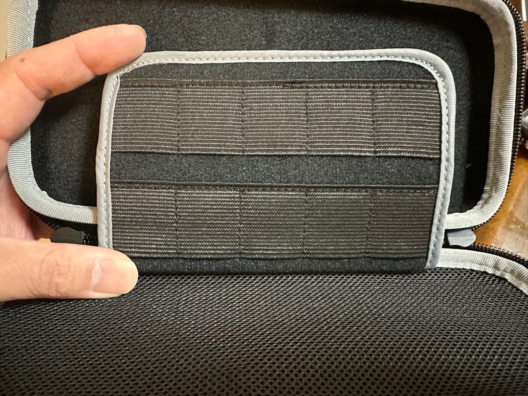 Switchライト ブルー マイクロSD ケース付き