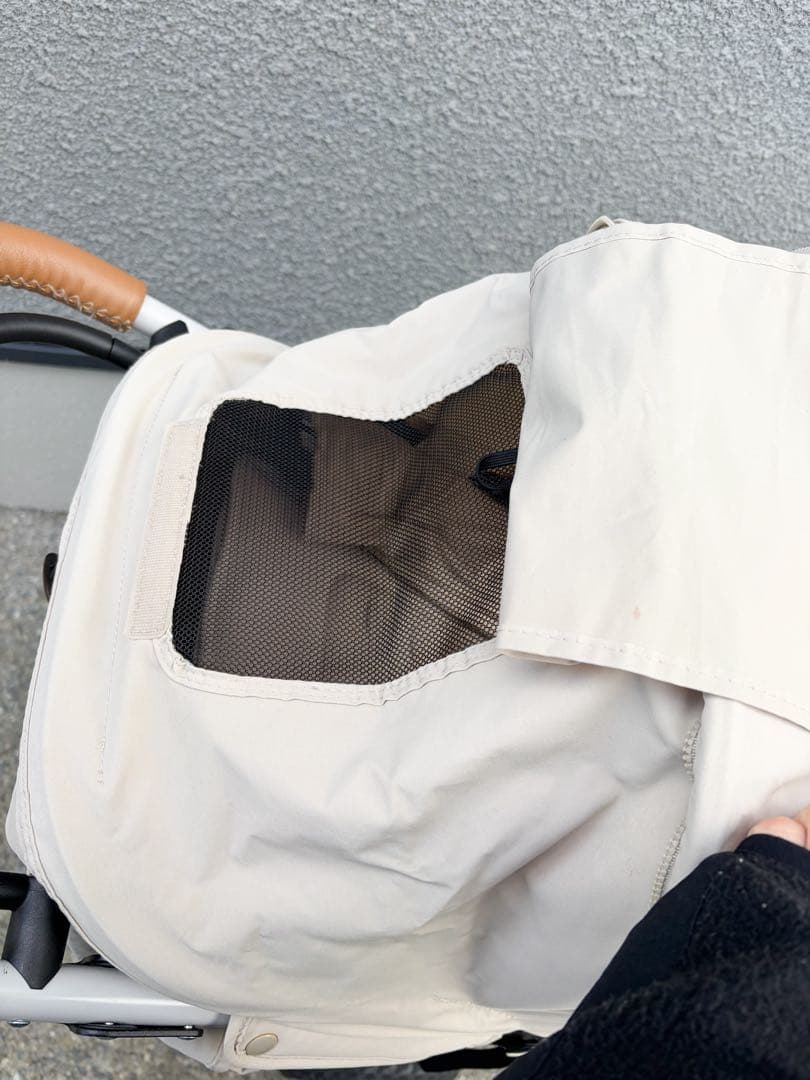 【直営店限定カラー】エアバギー ココプレミア フロムバース サンドアッシュ