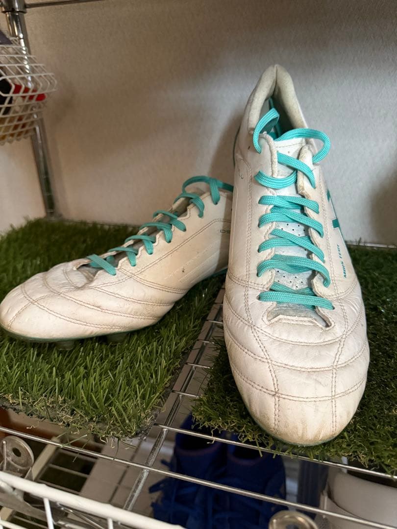 シューズ ASICS DS LIGHT X-FLY 4 29cm