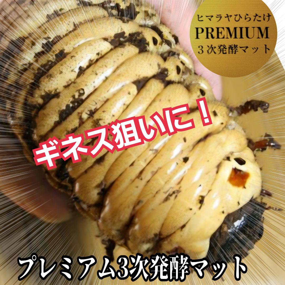 カブトムシ幼虫が巨大化！プレミアム3次発酵マット【200リットル】産卵にも抜群！