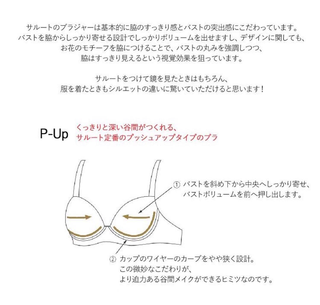 【サルート】♡希少H65 プッシュアップブラ　ショーツセット93Gニューヨーク