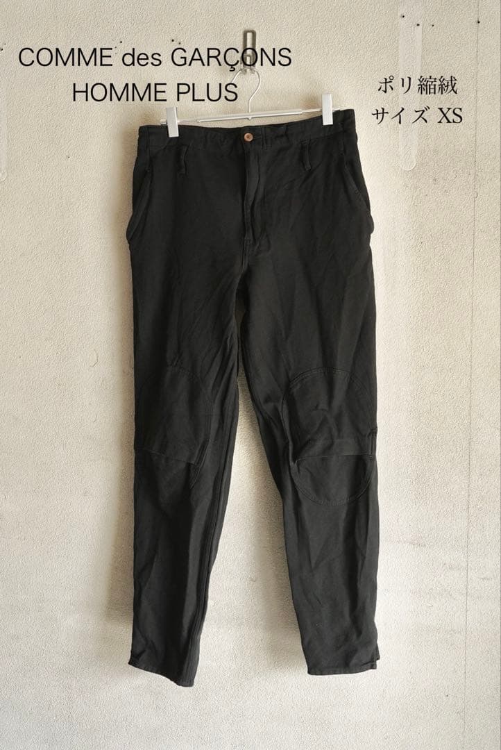 を*を様 COMME des GARÇONS HOMME PLUS ポリ縮絨パン