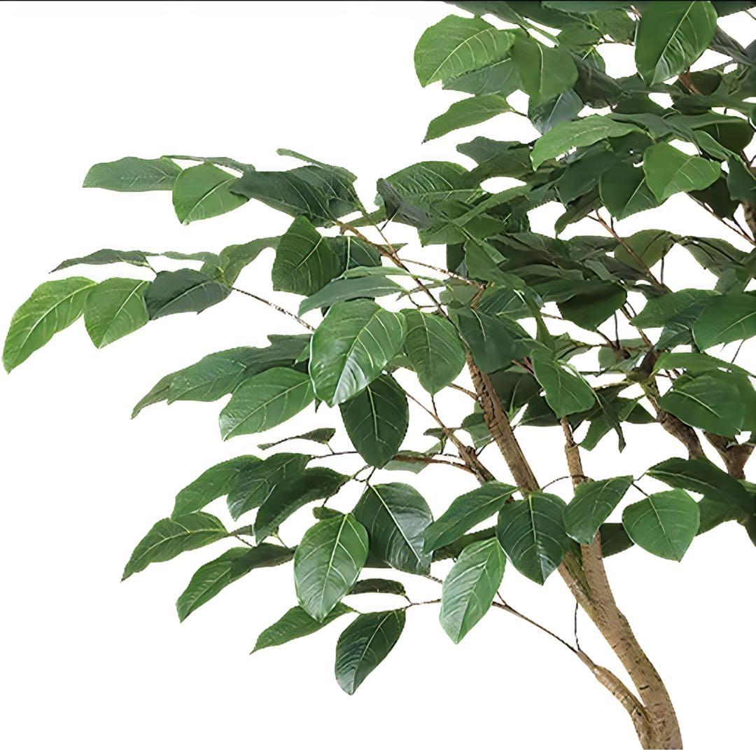 光触媒　人工観葉植物　フェイクグリーン　ベンガルボダイジュコアッド鉢付き
