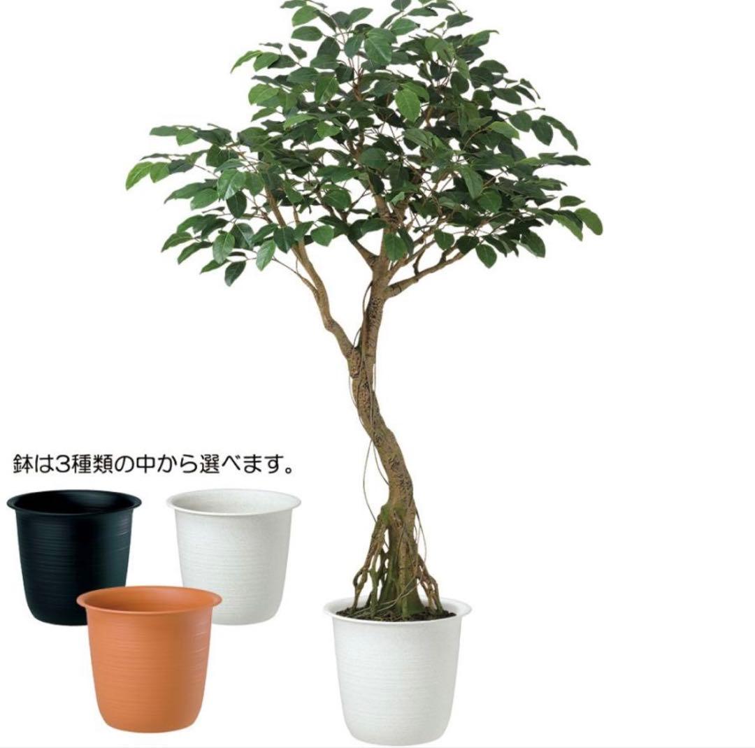 光触媒　人工観葉植物　フェイクグリーン　ベンガルボダイジュコアッド鉢付き