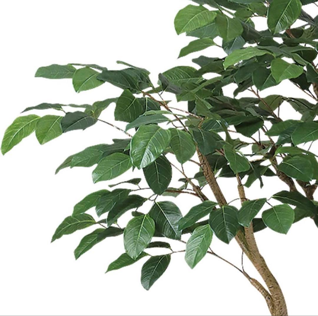 光触媒　人工観葉植物　フェイクグリーン　ベンガルボダイジュコアッド鉢付き