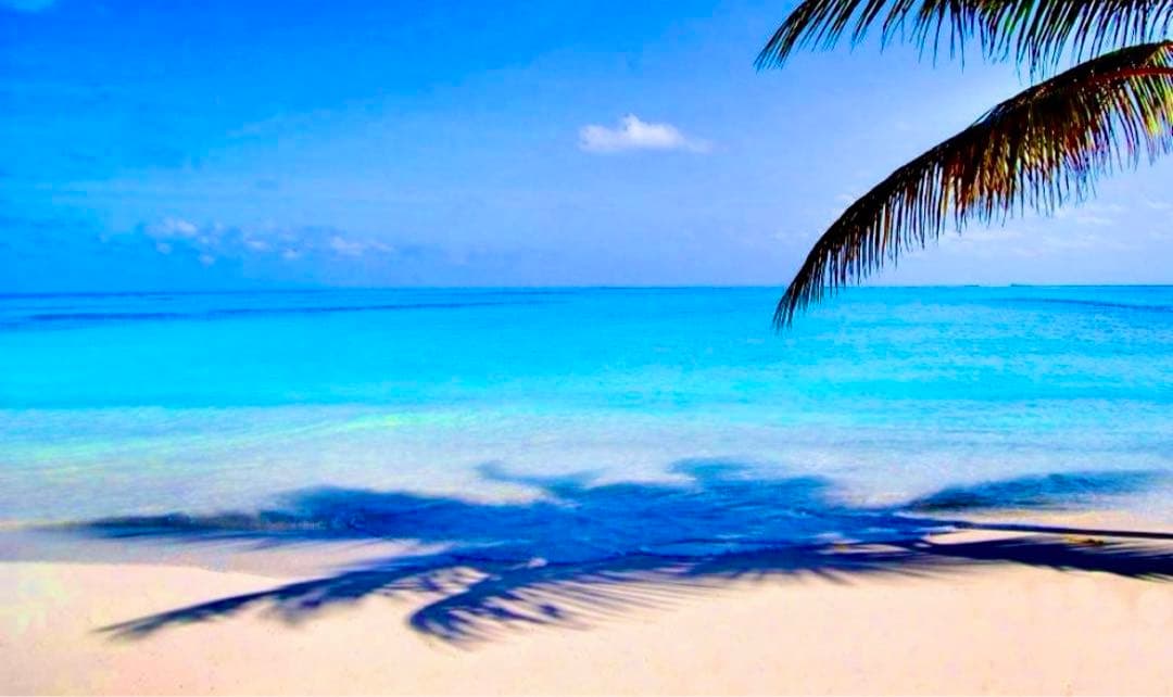 2018モデルブラジル代表レプリカユニフォーム　ネイマール　10