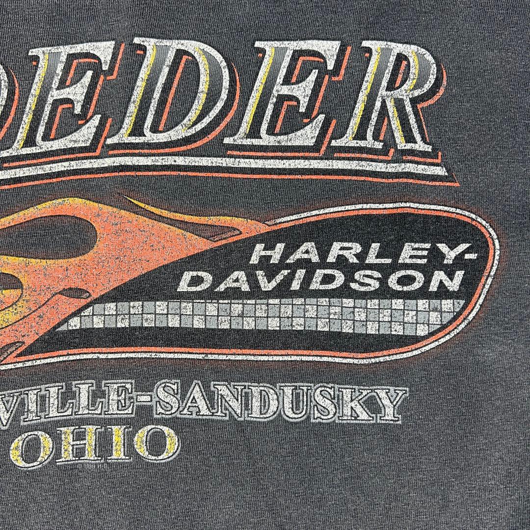 90s Harley-Davidson イーグル ファイヤー ロンＴ L/S