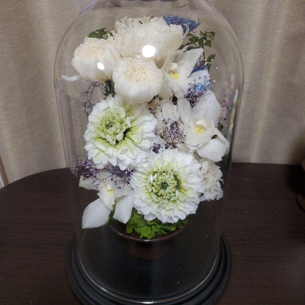 特選仏花　ジャンボサイズ　ドーム入り　プリザーブドフラワー　造花無し