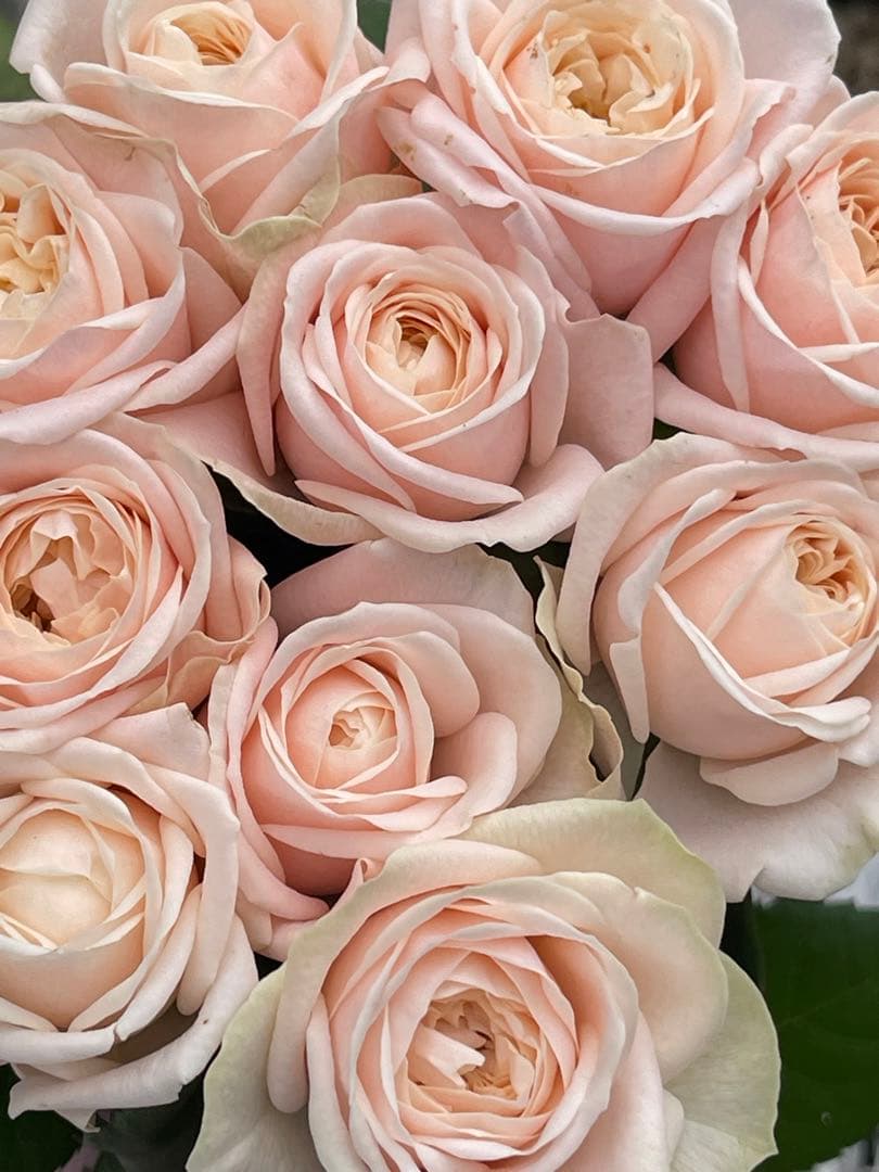 連絡専用ページ