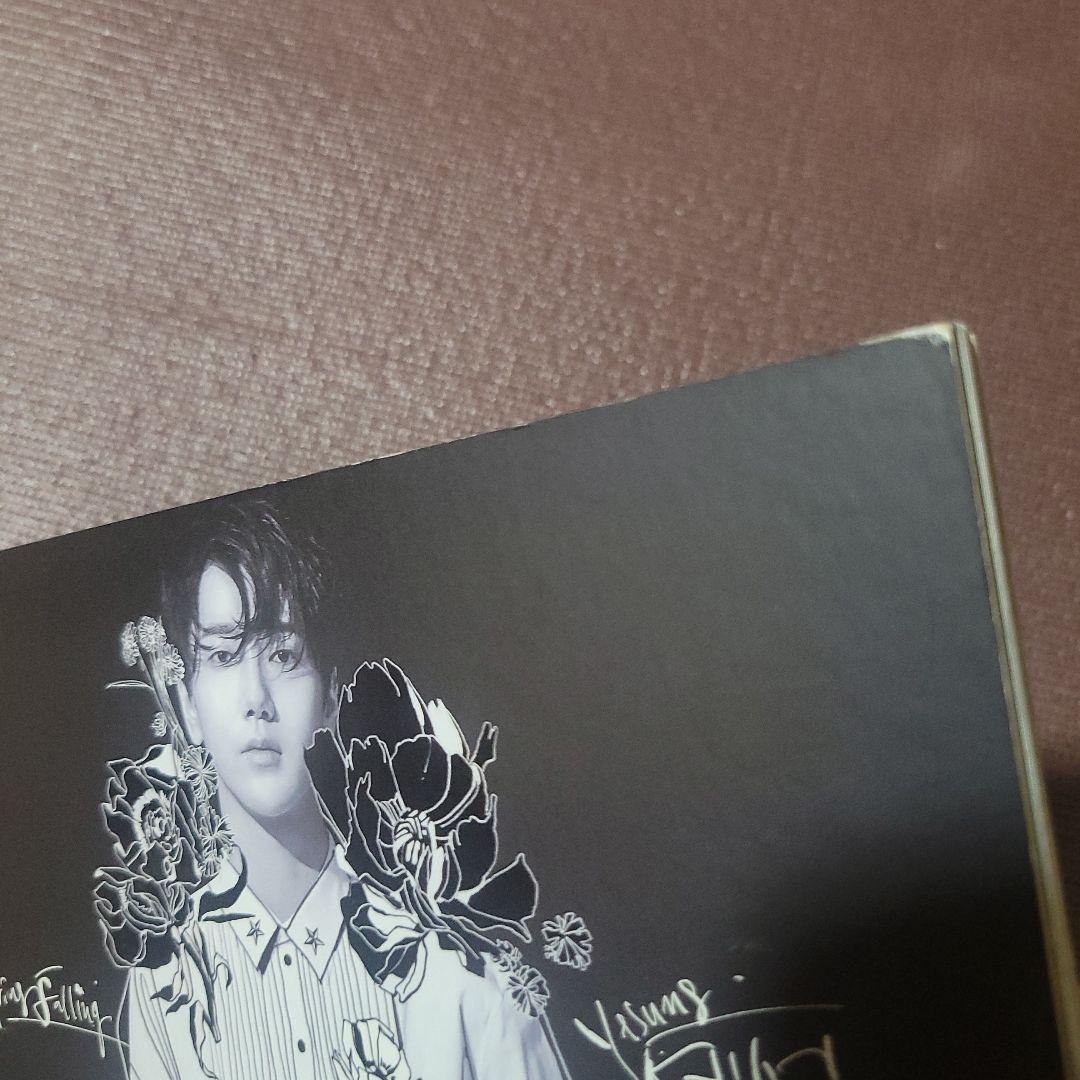 yesung spring falling super junior イェソン