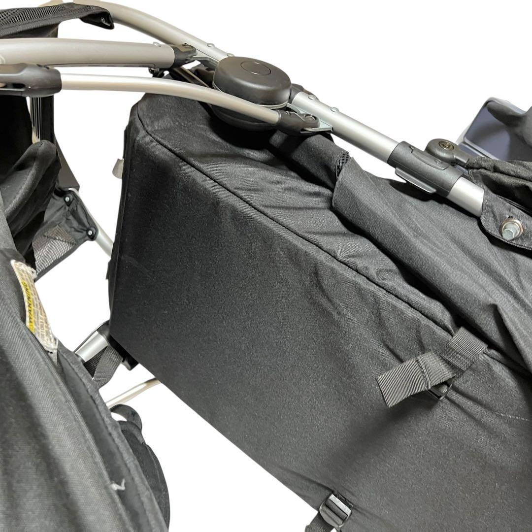 phil & teds フィルアンドテッズ ベビーカー 2人乗りモデル　3輪