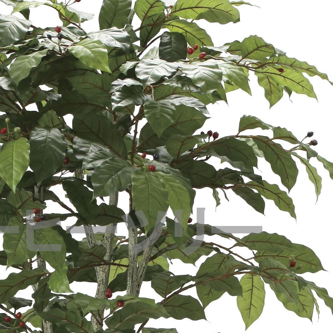 ◇日本製◇◇◇フェイクグリーン コーヒーツリー1.8 高さ1.8m 光の楽園