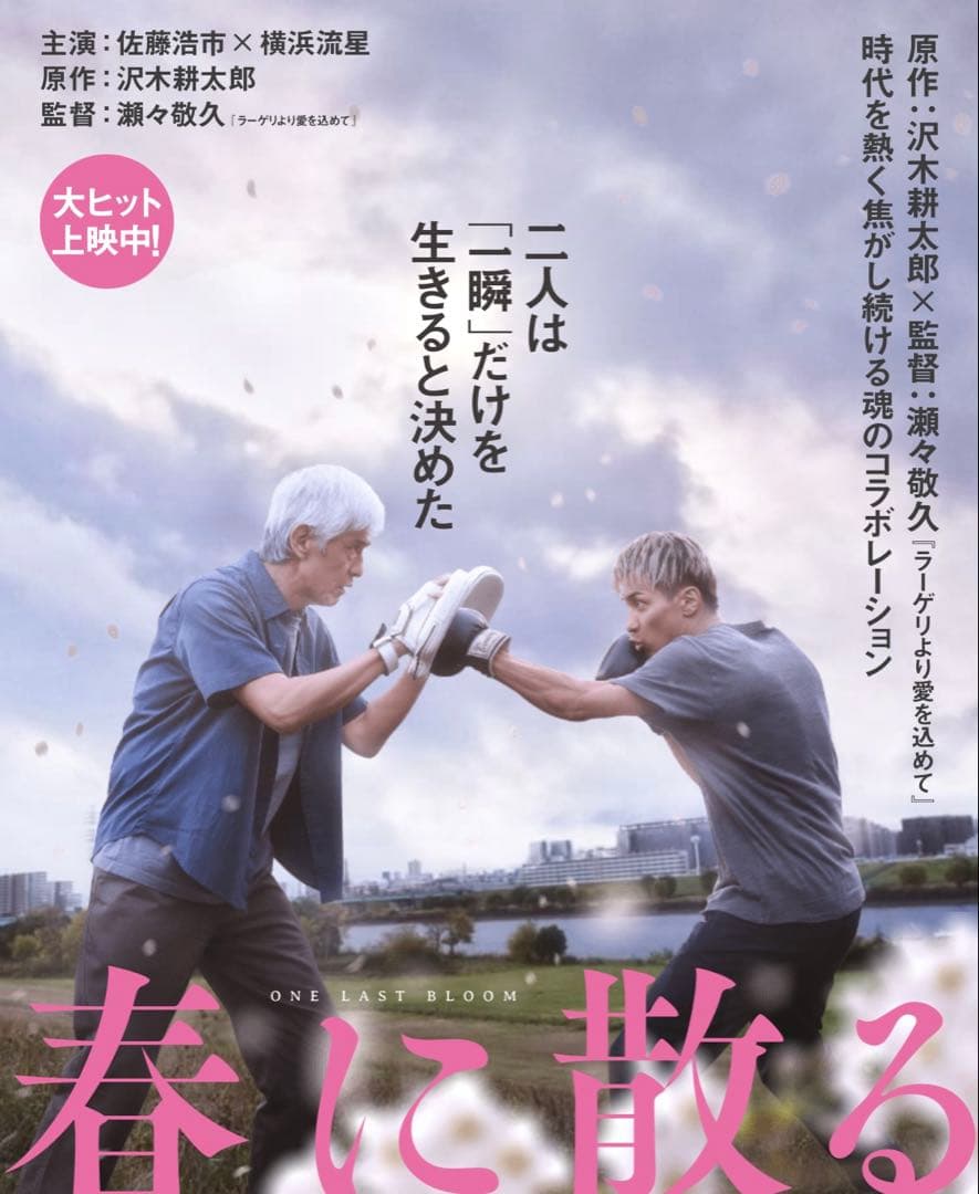 春に散るWIND AND SEA EVERLAST PALM TREE JK