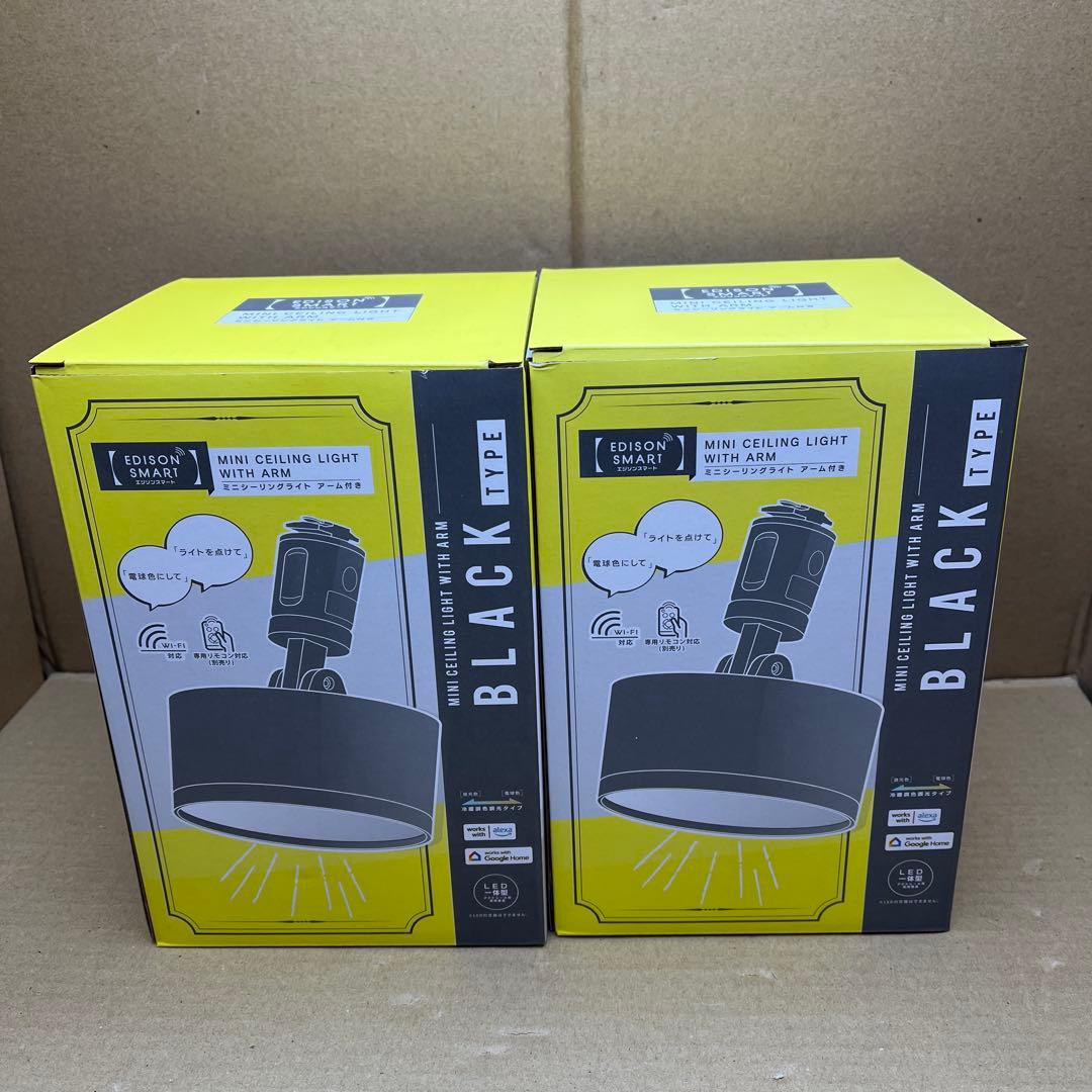 エジソンスマート ミニシーリングライト (アーム付き)2個セット