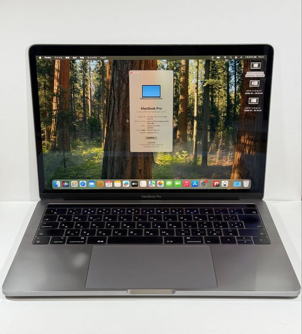 MacBook本体 Apple MacBook Pro 13 2019 i5/16GB/250GB