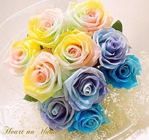 【高級プリザーブドフラワー】ケース入り パステルレインボーローズ×ブルーローズ