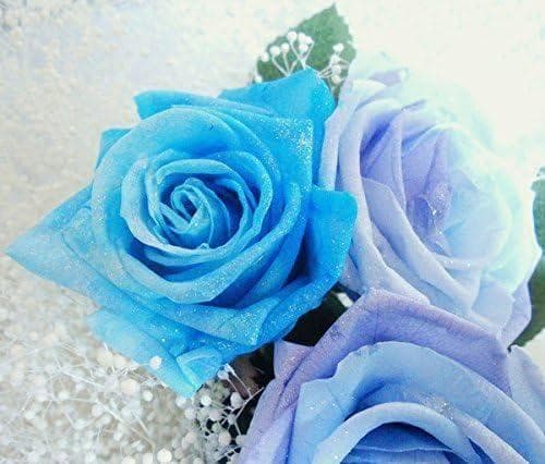 【高級プリザーブドフラワー】ケース入り パステルレインボーローズ×ブルーローズ