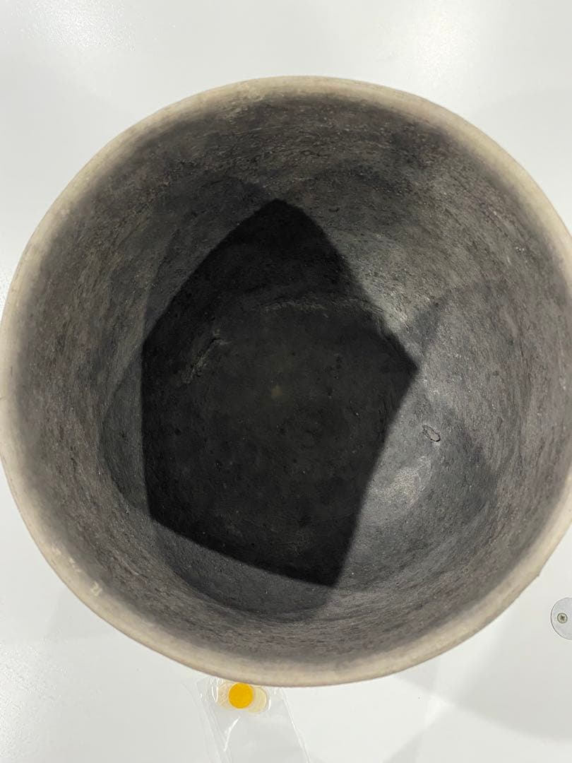 DOMANI MINSK パールホワイト　TMBH26