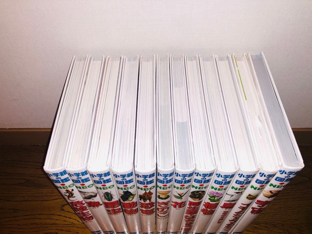 【新版】小学館の図鑑NEO 12冊セット